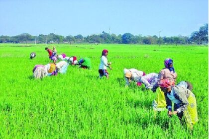 CG Farmer Registry