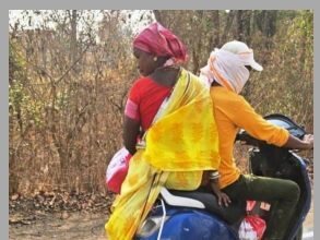 Dogs Or Monkey Ki Dosti