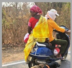 Dogs Or Monkey Ki Dosti