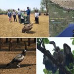 Jatayu S Flight
