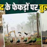 Kancha Forest Deforestation