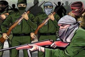 Naxalites Appealed