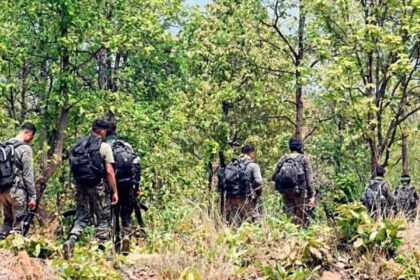 Three Naxals killed