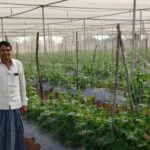 Horticulture Success Story