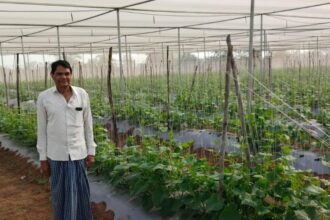 Horticulture Success Story