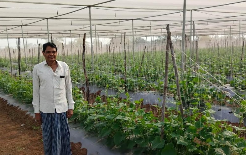 Horticulture Success Story