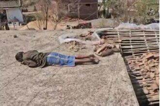 Roof Repair Accident