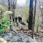 Abujhmad Encounter