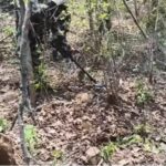 Bhaskar Rao Maoist Encounter