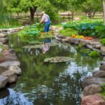 Farm Pond Success