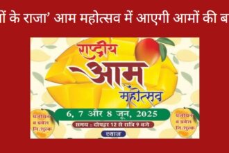 Mango Festival