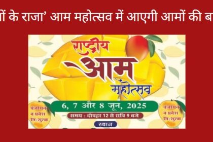 Mango Festival