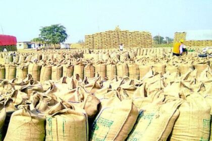 Chhattisgarh Dhaan Kharidi News