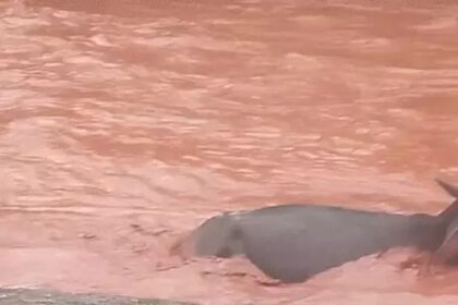Kawardha Waterfall Accident