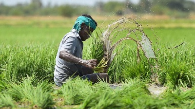 Krishak Unnati Yojana