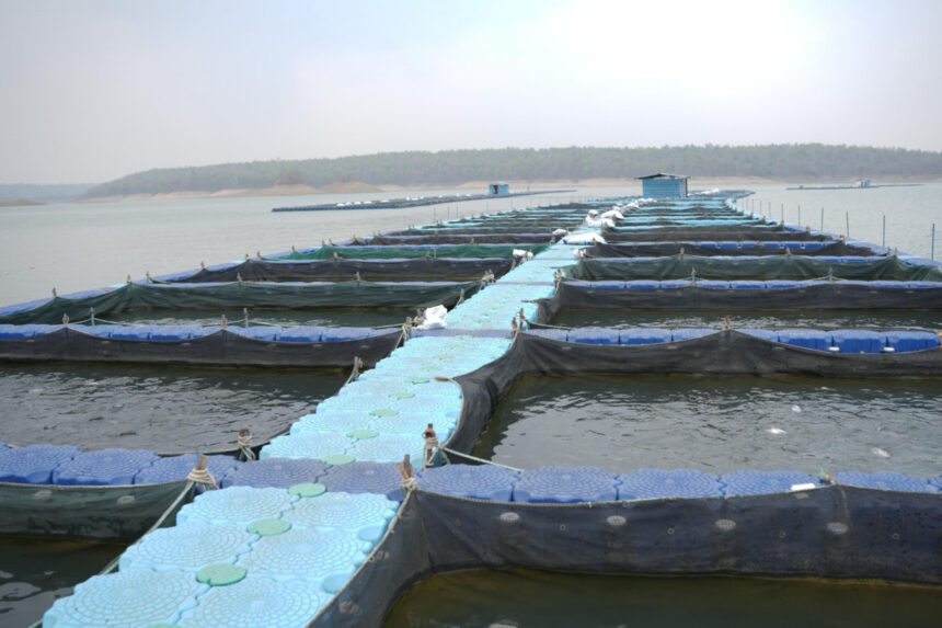 Hasdeo Bango Fishery Project