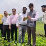 Digital Crop Survey