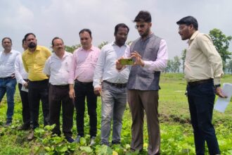 Digital Crop Survey