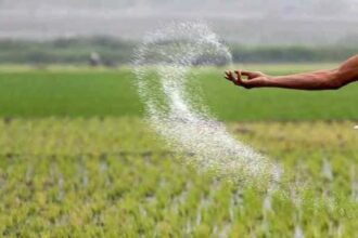 DAP shortage alternatives India