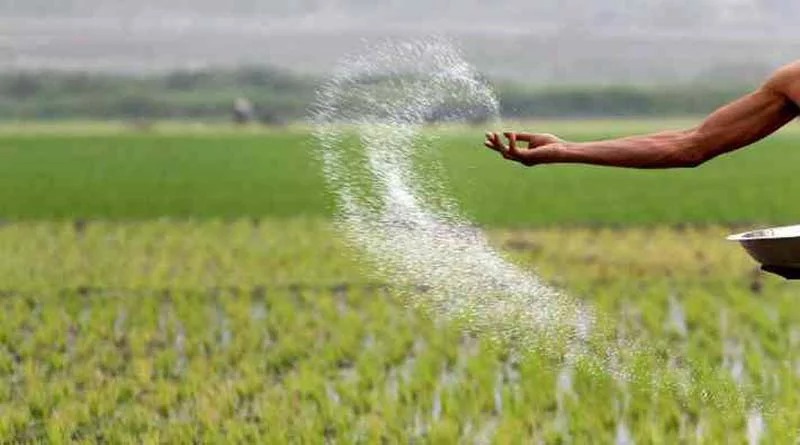 DAP shortage alternatives India