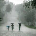 Districtwise Rainfall CG