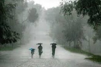Districtwise Rainfall CG