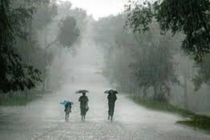 Districtwise Rainfall CG