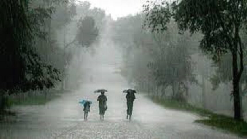 Districtwise Rainfall CG