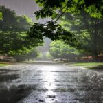Average Rainfall in CG