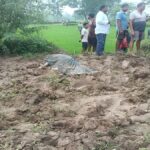 Sarguja Elephant Deaths