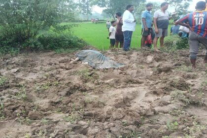 Sarguja Elephant Deaths