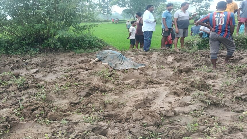 Sarguja Elephant Deaths