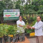 Chhattisgarh State Power Companies Tree Plantation
