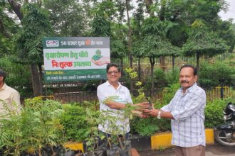 Chhattisgarh State Power Companies Tree Plantation