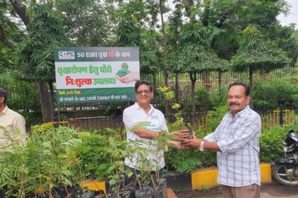 Chhattisgarh State Power Companies Tree Plantation