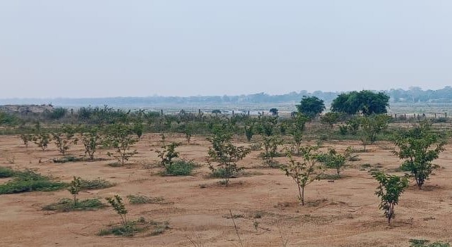 Sonthi Village Greening