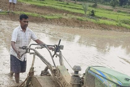 Dantewada Farming