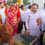 Chhattisgarh dairy animal scheme