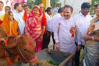 Chhattisgarh dairy animal scheme