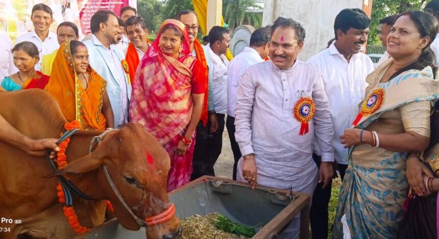 Chhattisgarh dairy animal scheme