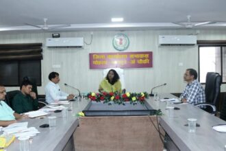 Collector Tulika Prajapati Orders