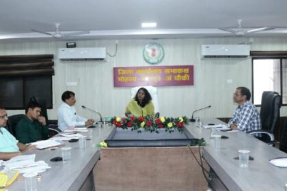 Collector Tulika Prajapati Orders