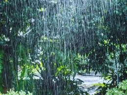 Balrampur Rainfall