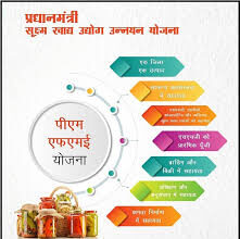 Government Subsidy Food Units