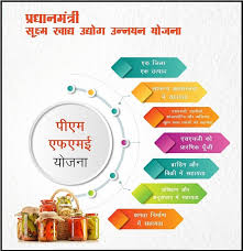 Government Subsidy Food Units