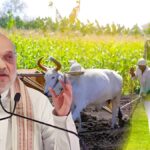 Amit Shah Cooperative Policy