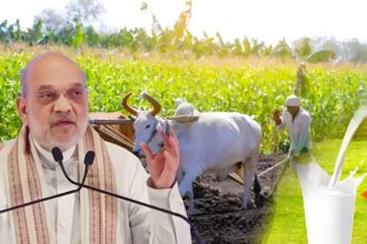 Amit Shah Cooperative Policy