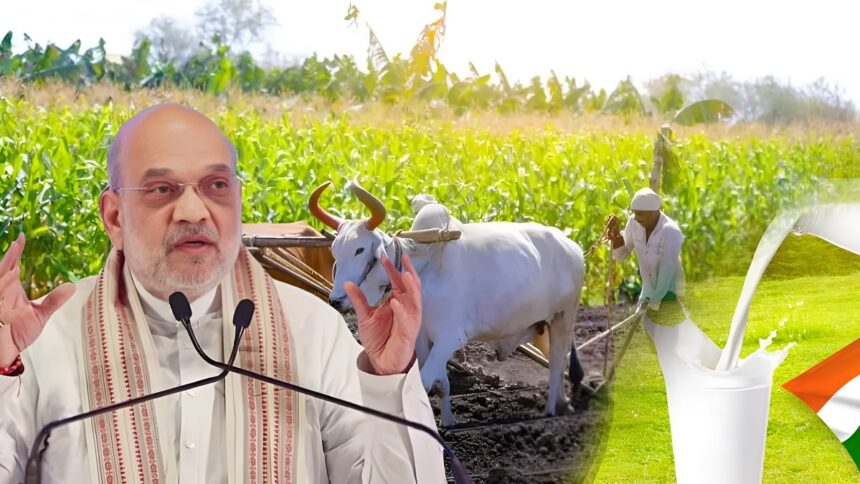 Amit Shah Cooperative Policy