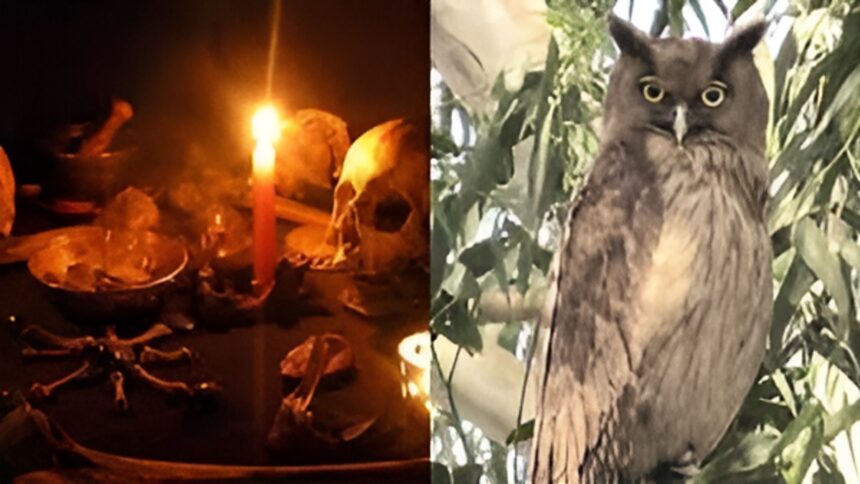 Superstition Killing