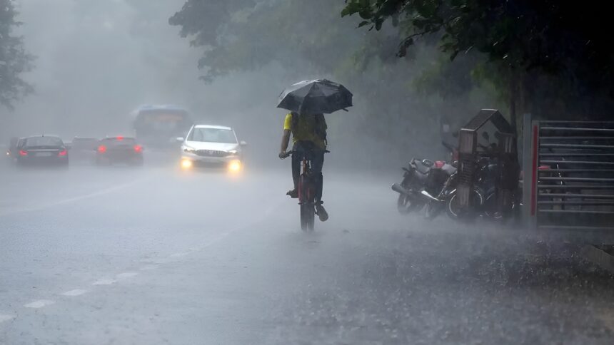 Rainfall Update